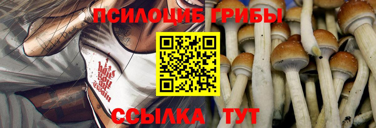 Галлюциногенные грибы MAGIC MUSHROOMS  Вход с VPN  Валуйки 
